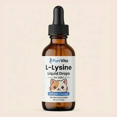 PurrVita L-Lysine Supplement for Cats, beneficial for skin, fur and eye health,60ml